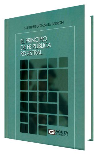 El Principio de fe Pública Registral..